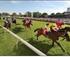 The Commercial Club Albury Gold Cup Carnival logo