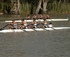 HENLEY ON THE DARLING ROWING REGATTA logo