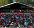 Wodonga Carols by Candlelight logo