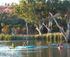 Sunset Kayak Tour- Gurra to Lock 4 logo