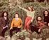Music in the Gardens - Tinpan Orange logo