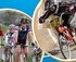 2013 VICTORIAN SCHOOLS CYCLING CHAMPIONSHIPS logo