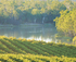 Riverland Wine and Food Festival logo