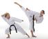 GET SAVVY!-NATIONAL KARATE ACADEMIES logo