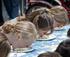 Australia Day Pie Eating Competition logo