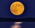 Moonlight Kayak Tour logo