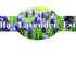 Bella Lavender Estate presents "Trick"- acoustic entertainment logo