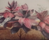 Sala Birds and B's Exhibition at Barmera Theatre Gallery logo