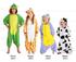  "Have Funsie in your Onesie"at Barmera Library logo