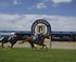 Moama Bowling Club Melbourne Cup Day logo