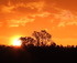 Sunset Tour by Kayak logo