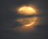 Moonlight Kayak Tour logo