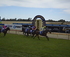 Echuca Racing Club Races logo