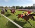 The Commercial Club Albury Gold Cup Carnival logo