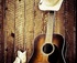 SILVER CITY COUNTRY MUSIC ARTISTS logo