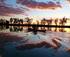 Sunset Tour by Kayak logo