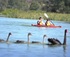 Self-Guided Kayak Trails logo