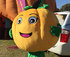 2016 Cadell Harvest Festival and Murray River Giant Pumpkin Comp. logo