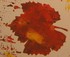 SALA Art Exhibittion, " Creative Indulgence" logo