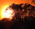 Sunset Tour by Kayak logo