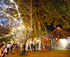 Darwin Festival logo