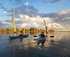 Pelican Island Paddle Tour logo