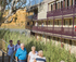 4 NIGHT CHRISTMAS IN JULY CRUISE ABOARD PS MURRAY PRINCESS - JULY 2019 logo
