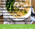 Beginners Yum Cha Cook Up Sunday 18th June! logo