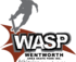 WASP - TRIVIA NIGHT logo