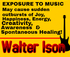 Walter Ison Live at Village Winter Sun  logo