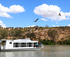 Tour Down Under in Mannum: 45 Minute Nature River Cruise logo