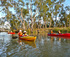 Guided Sunset Kayak Tour, Riverland South Australia logo