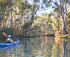 Guided Sunset Kayak Tour, Riverland South Australia logo