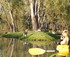Guided Sunset Kayak Tour, Riverland South Australia logo