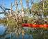 Guided Sunset Kayak Tour, Riverland South Australia logo