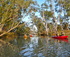Guided Sunset Kayak Tour, Riverland South Australia logo