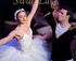 Swan Lake: Presented by Victorian State Ballet logo