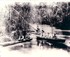 Fishing the Murray River logo