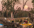 Moonlight Kayak Tour logo