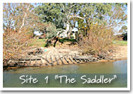 Site 1 - The Saddler