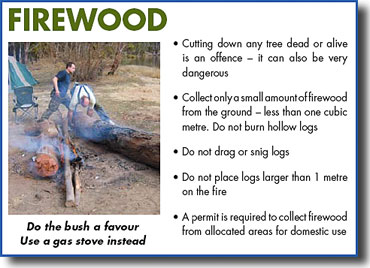 Firewood