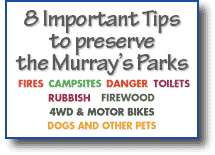 Murray's 8 Important Tips
