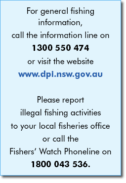 Fishing information