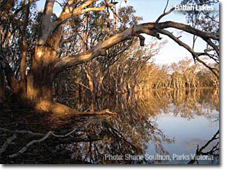 Hattah Lakes