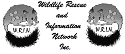 Wildlife Rescue
