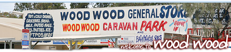 Wood Wood Banner Image