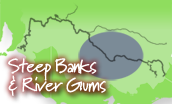 Steep Banks & River Gums