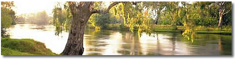 The Murray River at Albury