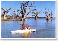 Kayaking on Lake Bonney, Barmera