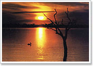 Sunset over Lake Bonney